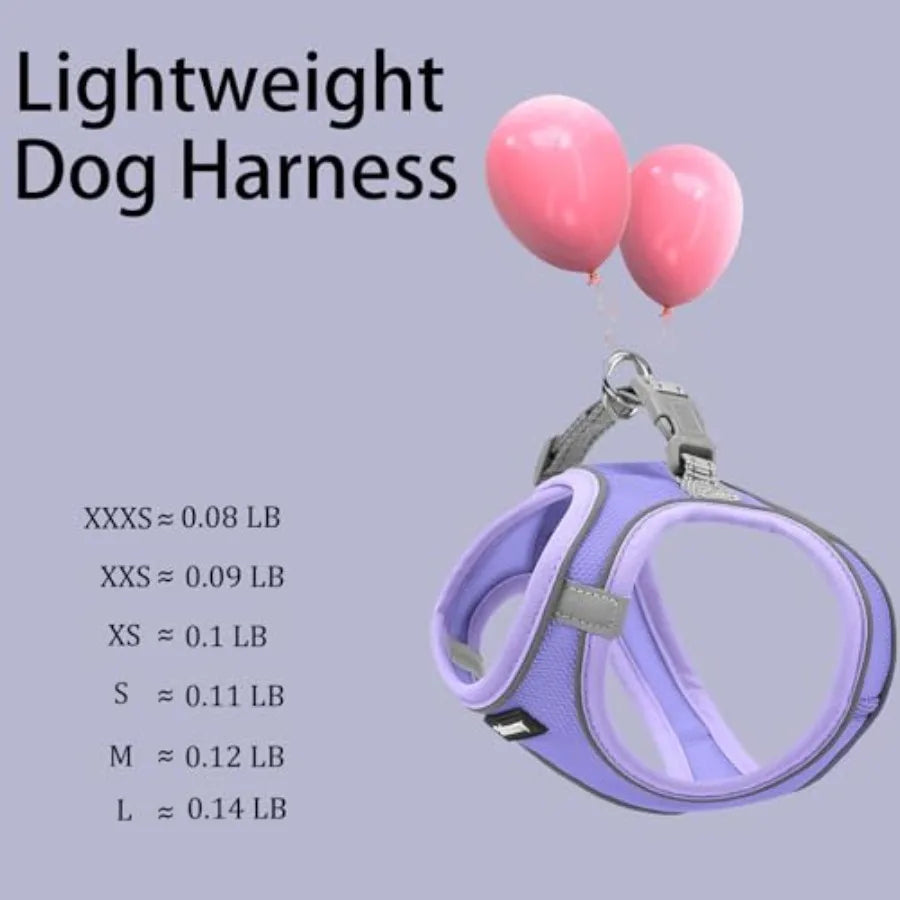 Sparkly Reflective Step In Puppy Harness And Leash Set for Walking