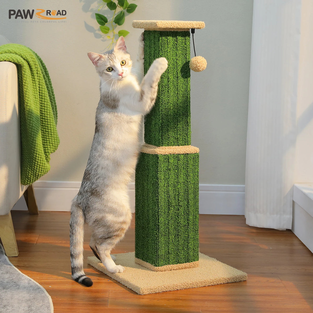 PAWZ Road Large Cat Scratching Post For Indoor Cats With Woven Sisal Ball