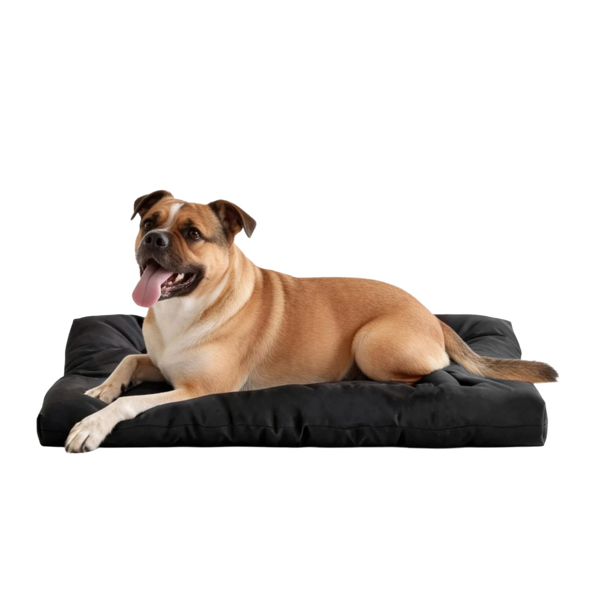 Chew Resistant Waterproof Washable Dog Bed For Tough Chewers