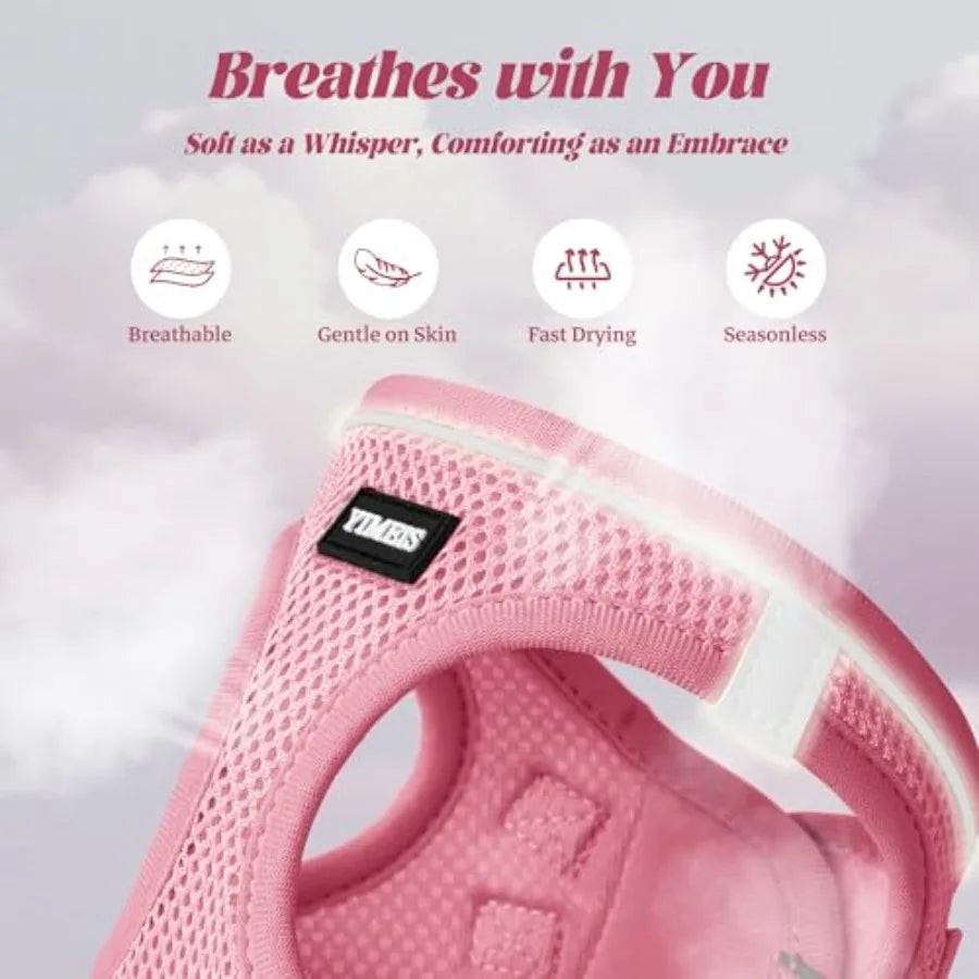 Reflective No Pull Dog Harness And Leash Set For Walking